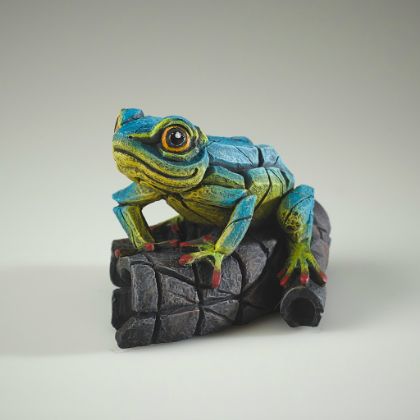 Picture of African Tree Frog- Blue & Yellow