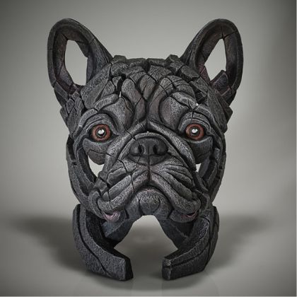 Picture of French Bulldog - Blue