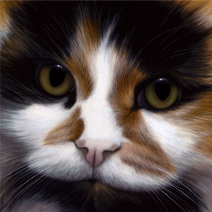 Picture of 'Peggerty' - Larger Than Life - Cat