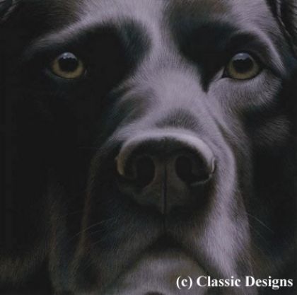 Picture of Larger Than Life - Black Labrador