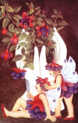 Picture of Fuchsia Fairies