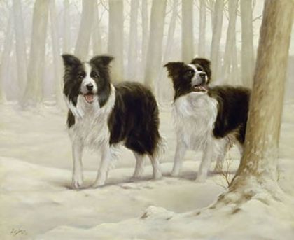 Picture of Winter Friends I - Border Collies