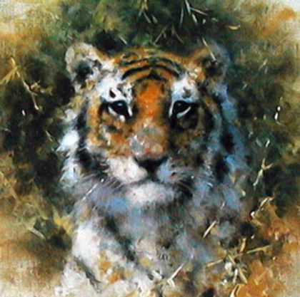 Picture of Bengal Tiger - Cameo Collection