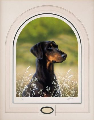 Picture of Classic Breed Dobermann