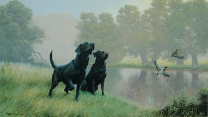 Picture of Watersports - Black Labradors