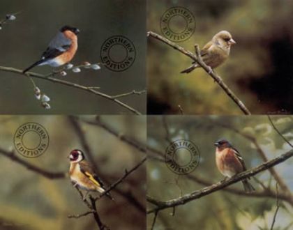 Picture of Finches - Set Of 4