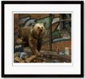 Picture of Grizzly - Paper