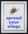 Picture of Spread Your Wings